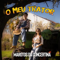 Marotos da Concertina